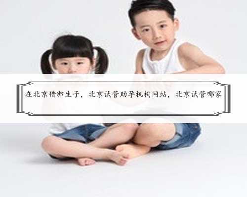在北京借卵生子，北京试管助孕机构网站，北京试管哪家